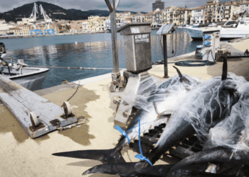 piano triennale del Tonno Rosso