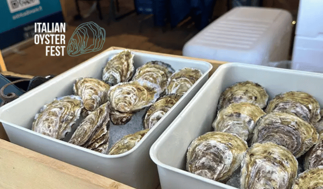 Italian Oyster Fest 2026