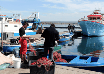 aiuti fermo pesca 2024