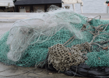 arresto definitivo pesca a strascico