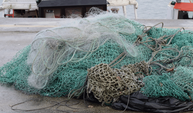 arresto definitivo pesca a strascico