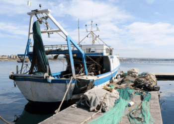 credito d’imposta carburanti per la pesca