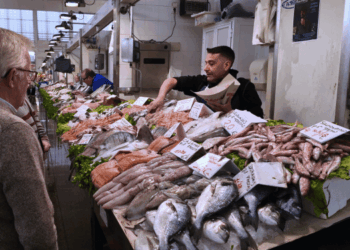 fiducia nell'ittico