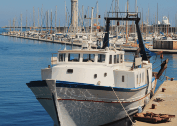 indennità fermo pesca 2025