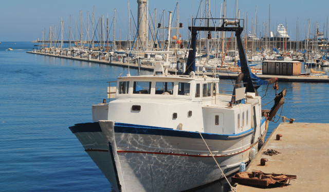 indennità fermo pesca 2025