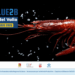 Medipesca nuovi consumi mediterranei