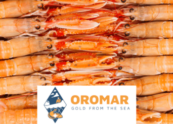 Start of the Langoustine (Nephrops norvegicus) Season: Oromar BV from Urk Ready for Premium Quality and Service