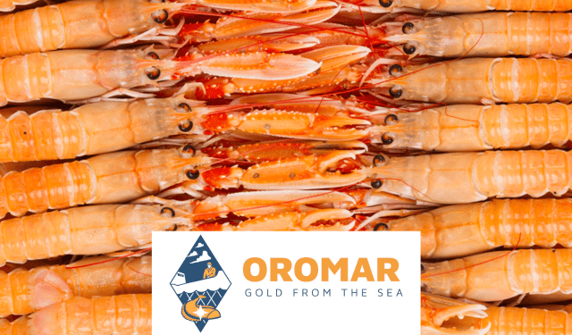 Start of the Langoustine (Nephrops norvegicus) Season: Oromar BV from Urk Ready for Premium Quality and Service