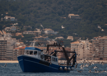 pesca a strascico sostenibile