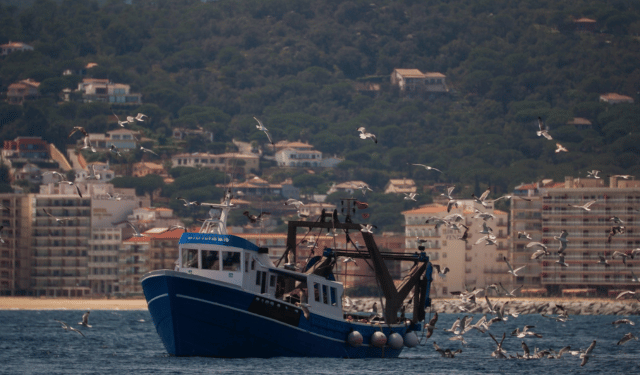 pesca a strascico sostenibile