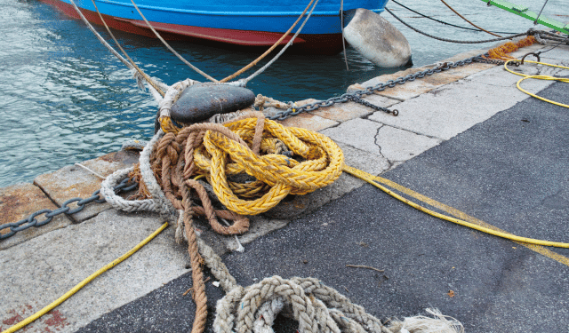 proroga indennità fermo pesca 2025