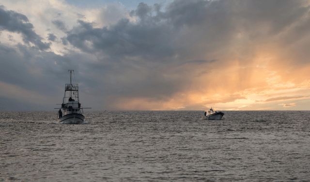quarta graduatoria fermo pesca 2023