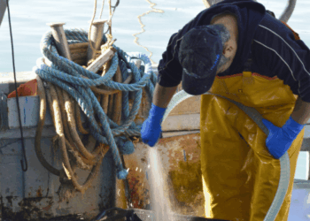 rinnovo CCNL pesca cooperativa