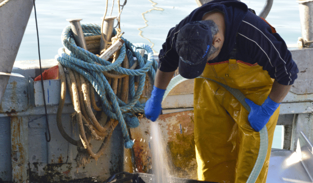 rinnovo CCNL pesca cooperativa