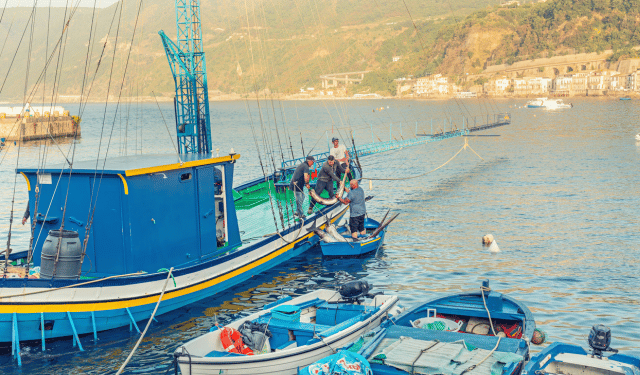 sperimentazione trapline pesce spada