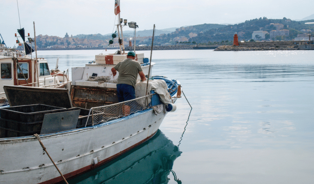 EU fisheries and aquaculture statistics: why better data matter