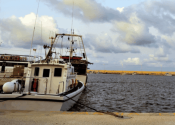 trapline per la pesca del pesce spada