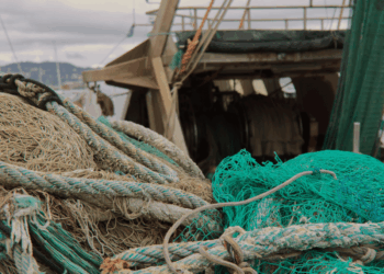Peschereccio in mare durante attività di pesca professionale del tonno rosso