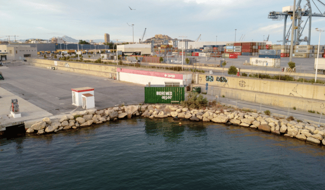 alghe per depurare l’acqua dei porti
