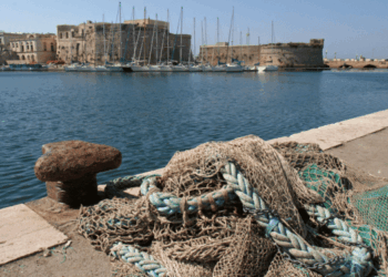 arresto definitivo della pesca a strascico
