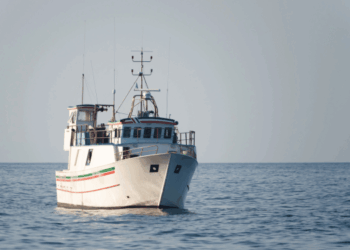 credito d’imposta carburante pesca
