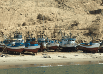 farina e olio di pesce