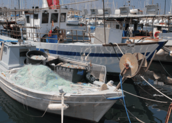 fermo pesca 2026