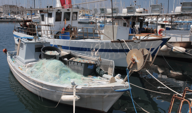 fermo pesca 2026