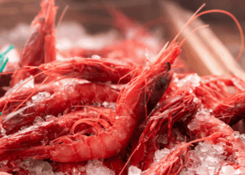 Gamberi di profondità, gambero rosso e gambero viola, oggetto delle quote 2026 MASAF