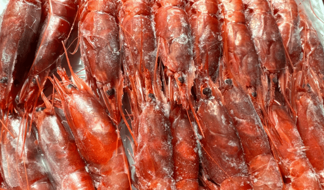 import gambero rosso Tunisia