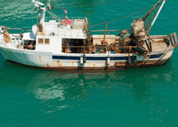 Pesca demersale nel Mar Ionio