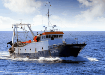 pesca europea