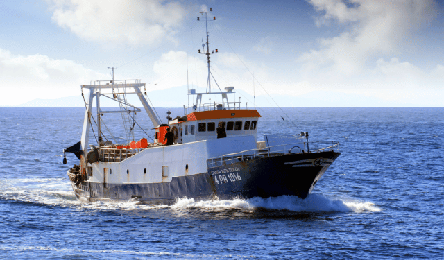 pesca europea