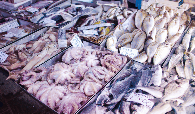 pesce sostenibile a Malta