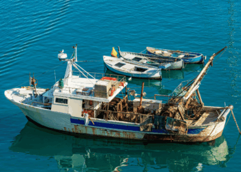 Peschereccio ormeggiato in porto, simbolo della pesca europea tra lavoro, ricambio generazionale e futuro della filiera ittica