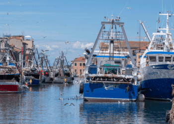 rigenerazione della flotta da pesca