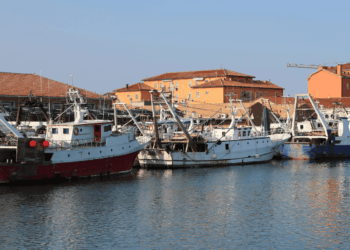 Pescherecci a strascico ormeggiati in un porto dell’Adriatico