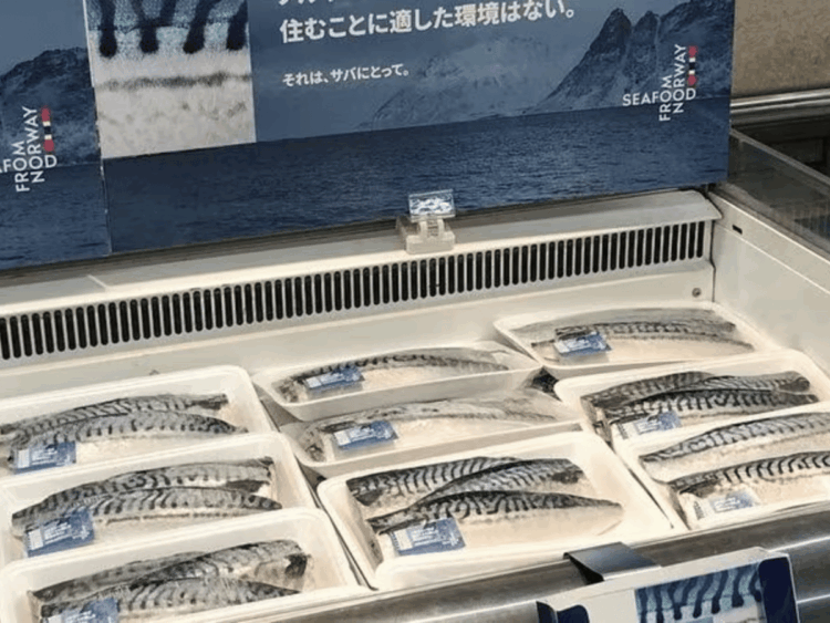 Pesce norvegese per export ittico della Norvegia nel 2026