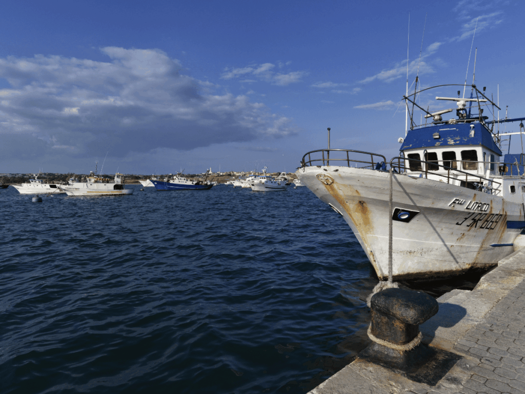 Pescherecci ormeggiati in banchina nell’articolo sulla seconda graduatoria del fermo pesca 2024