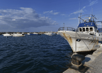 Pescherecci ormeggiati in banchina nell’articolo sulla seconda graduatoria del fermo pesca 2024
