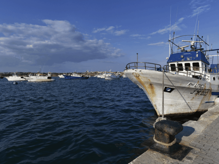 Pescherecci ormeggiati in banchina nell’articolo sulla seconda graduatoria del fermo pesca 2024