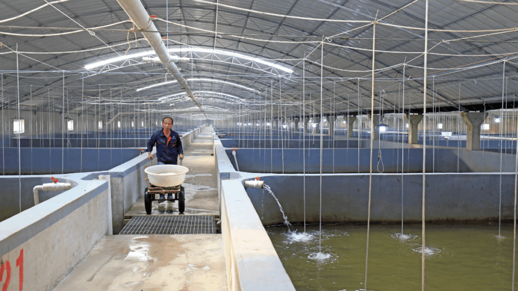 Operatore in un impianto di acquacoltura con vasche e sistemi di aerazione dell’acqua
