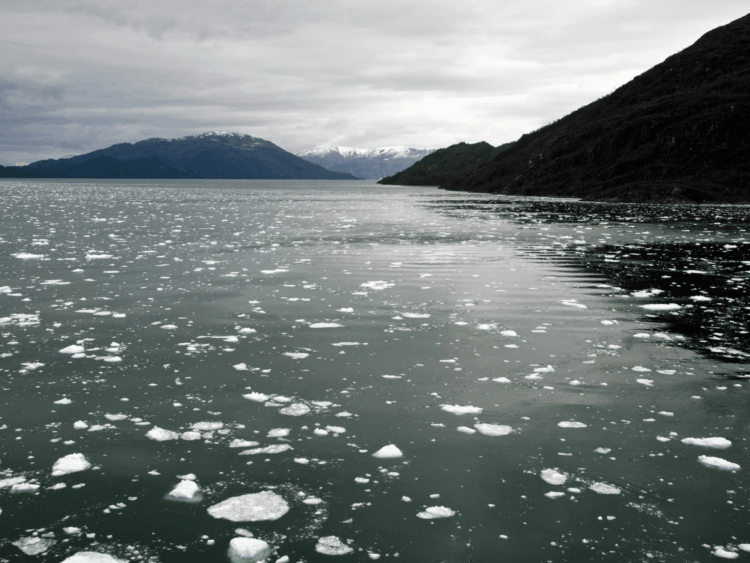 Salmon farming cages in southern Chile, where Atlantic salmon production is expected to grow