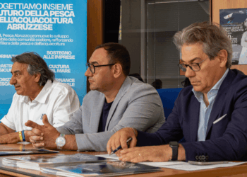 Presentazione del progetto Blu come l’Abruzzo del GAL Pesca Abruzzo per la valorizzazione del pescato locale