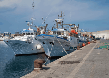 credito d’imposta per la pesca