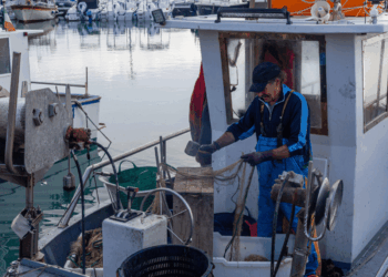 Pescherecci in porto e pescatori al lavoro, simbolo della crisi sociale della pesca europea