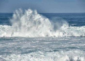 danni alla pesca in Calabria