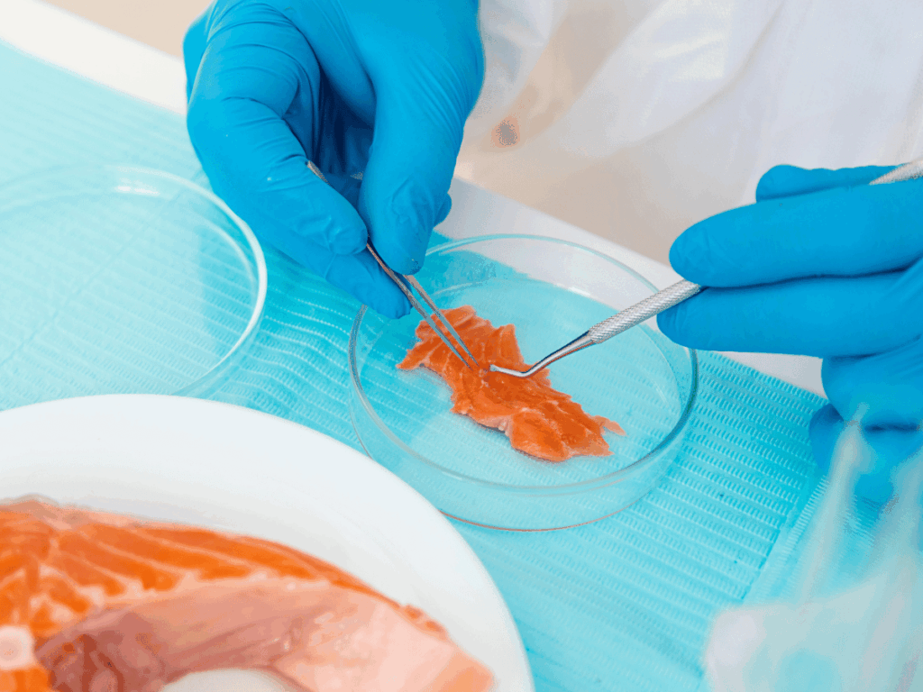 Tecnico di laboratorio controlla campioni di prodotti ittici refrigerati pronti al consumo