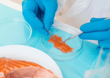 Tecnico di laboratorio controlla campioni di prodotti ittici refrigerati pronti al consumo
