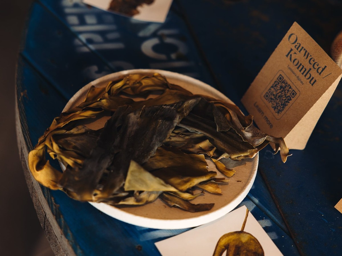 Oarweed and kombu from Lofoten Seaweed served as seaweed for gastronomic use